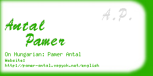 antal pamer business card